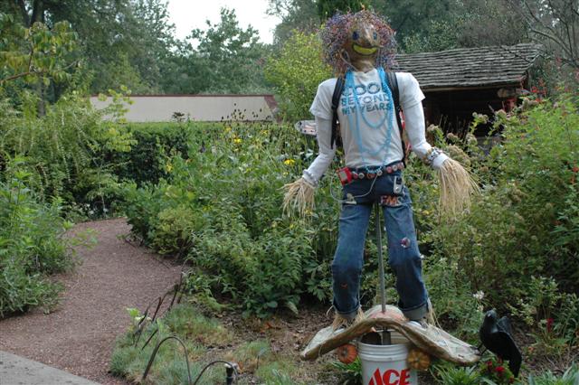 scarecrow School Garden Weekly