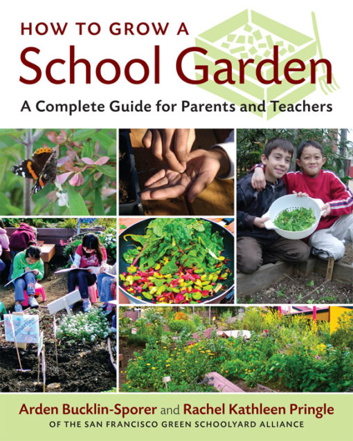 how-to-grow-a-school-garden-a-complete-guide-for-parents-and-teachers