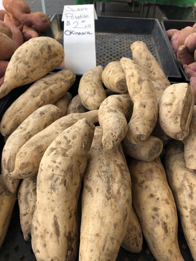 okinawa sweet potato