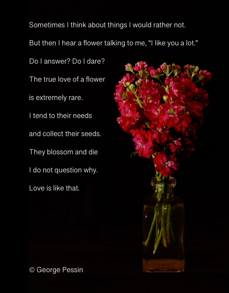 love is like that - a garden poem