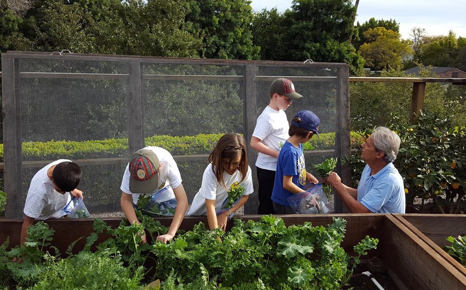 Jr MG Garden class