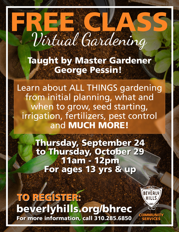 virtual garden classes flyer