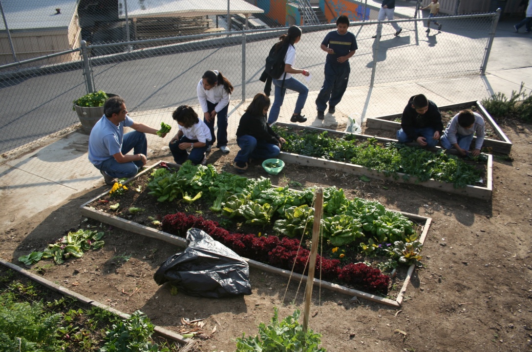 Cultivating Climate Literacy in the School Garden - School Garden Weekly